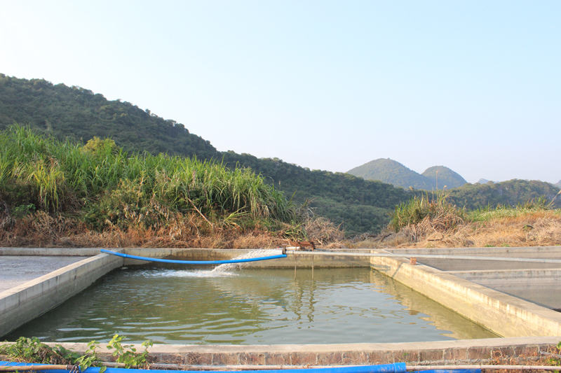 天然山泉水灌溉
