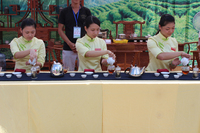 第二届中国英德红茶文化节茶艺表演